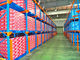 Multi azionamento livellato regolabile in scaffale del pallet per stoccaggio della cella frigorifera/industria alimentare